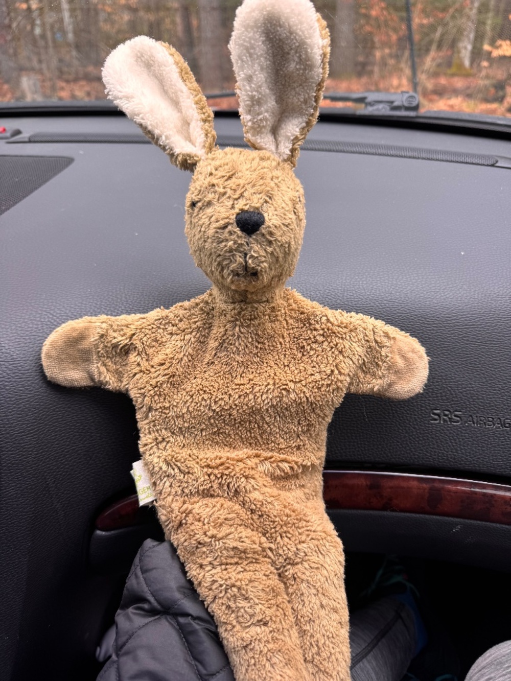 Senger Naturwelt hand puppet bunny  Senger Hand Puppet - Organic Soft Toy | Rabb